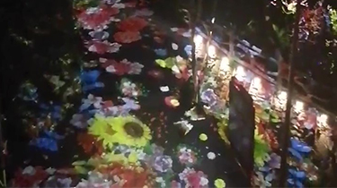 Outdoor flower projection and laser firefly