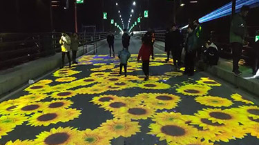 Outdoor projection pattern light on-site effect display